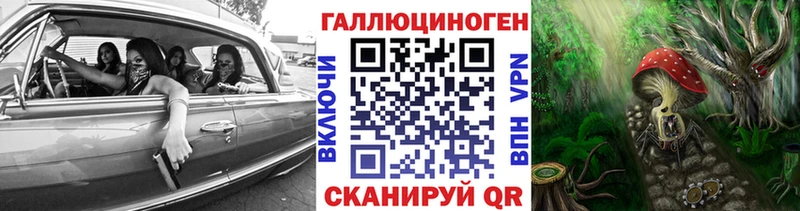 Псилоцибиновые грибы Psilocybine cubensis  Бирск 